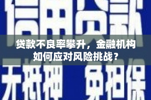 河津贷款不良率攀升，金融机构如何应对风险挑战？