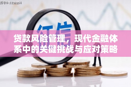河津贷款风险管理，现代金融体系中的关键挑战与应对策略