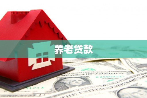 河津养老贷款