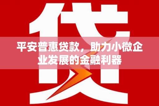河津平安普惠贷款，助力小微企业发展的金融利器