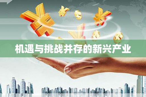 河津机遇与挑战并存的新兴产业