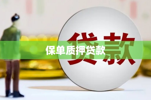 河津保单质押贷款