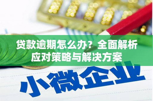 河津贷款逾期怎么办？全面解析应对策略与解决方案