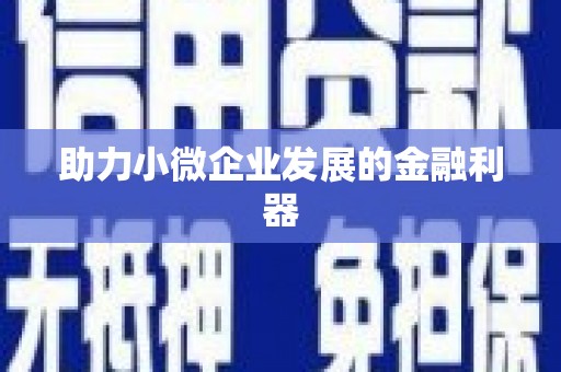 河津助力小微企业发展的金融利器