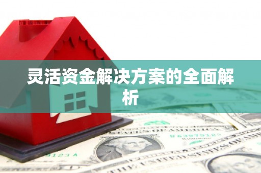 河津灵活资金解决方案的全面解析