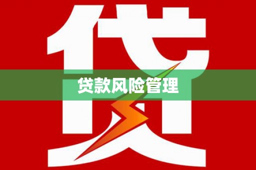 河津贷款风险管理