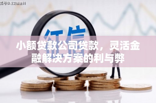 河津小额贷款公司贷款，灵活金融解决方案的利与弊